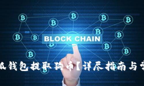 如何使用小狐钱包提取狗币？详尽指南与常见问题解答