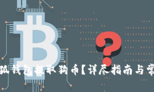 如何使用小狐钱包提取狗币？详尽指南与常见问题解答