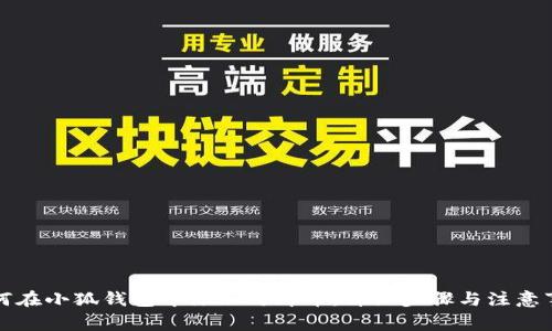 如何在小狐钱包中添加马蹄币：详细步骤与注意事项