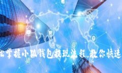 : 轻松掌握小狐钱包提现流程，教你快速提现！