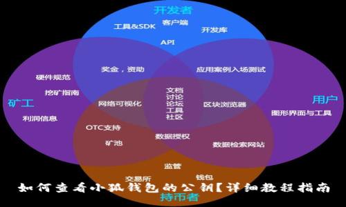 如何查看小狐钱包的公钥？详细教程指南