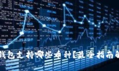 冷钱包支持哪些币种？最全指南解析