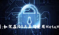 全面解析：如何在iOS上正确使用MetaMask钱包