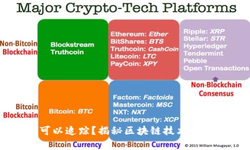 为什么虚拟币可以追踪？揭秘区块链技术与隐私保护的真相