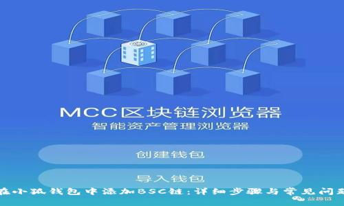 如何在小狐钱包中添加BSC链：详细步骤与常见问题解答