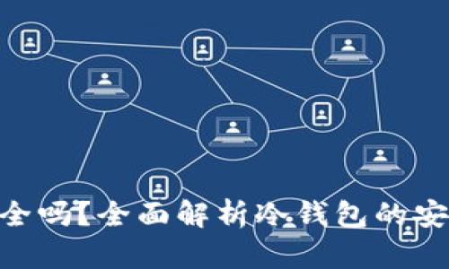 Inken冷钱包安全吗？全面解析冷钱包的安全性与使用指南