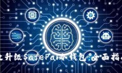 如何高效升级SafePal冷钱包：全面指南与技巧