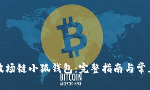 如何配置波场链小狐钱包：完整指南与常见问题解答