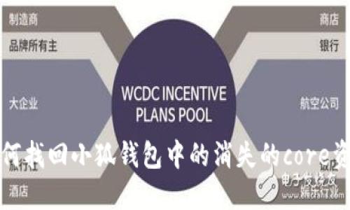 如何找回小狐钱包中的消失的core资产