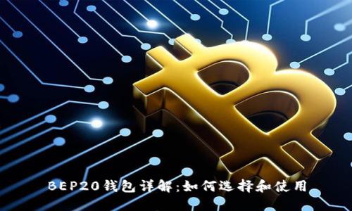 BEP20钱包详解：如何选择和使用