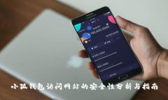 小狐钱包访问网站的安全性分析与指南