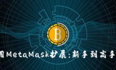  如何高效使用MetaMask扩展：新手到高手的全方位