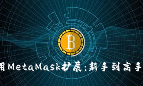  如何高效使用MetaMask扩展：新手到高手的全方位指南