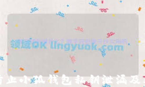 
如何防止小狐钱包私钥泄漏及其后果
