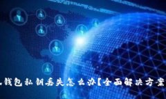 小狐钱包私钥丢失怎么办？全面解决方案分析