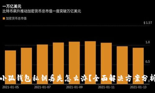 小狐钱包私钥丢失怎么办？全面解决方案分析