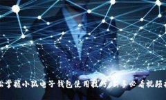 轻松掌握小狐电子钱包使用技巧：新手必看视频