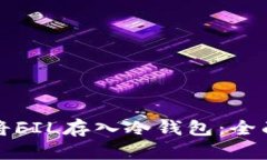 如何将FIL存入冷钱包：全面指南