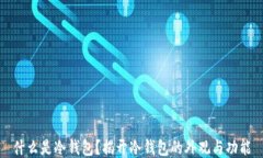 什么是冷钱包？揭开冷钱包的外观与功能