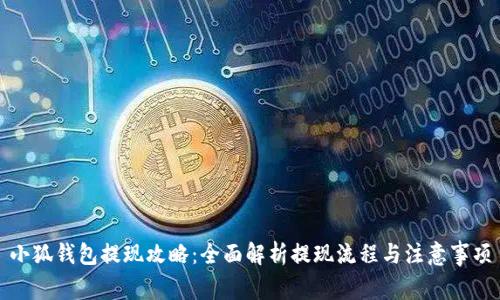 小狐钱包提现攻略：全面解析提现流程与注意事项