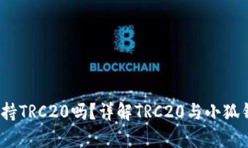  小狐钱包支持TRC20吗？详解TRC20与小狐钱包的兼容性