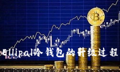: 深入解析Ellipal冷钱包的升级过程与用户指南