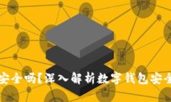 数字钱包的资产安全吗？深入解析数字钱包安全