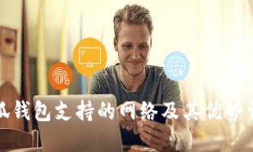 小狐钱包支持的网络及其优势详解