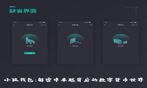 小狐钱包：解密中本聪背后的数字货币世界