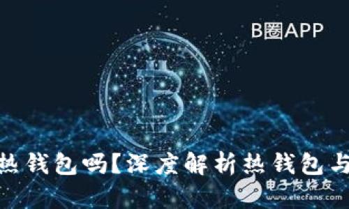 MetaMask是热钱包吗？深度解析热钱包与冷钱包的区别