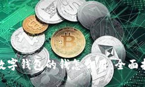 : 数字钱包的钱怎么用：全面指南