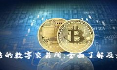中国合法的数字交易所：全面了解及最新动态