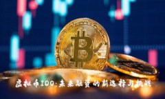 虚拟币IDO：未来融资的新选择与挑战