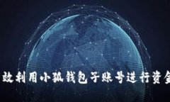 如何高效利用小狐钱包子账号进行资金管理？