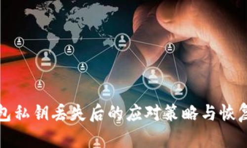 冷钱包私钥丢失后的应对策略与恢复方法