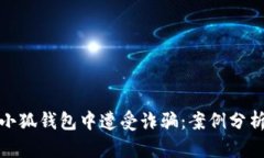 如何避免在小狐钱包中遭受诈骗：案例分析与防