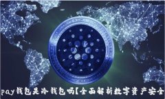   xopay钱包是冷钱包吗？全面解析数字资产安全性