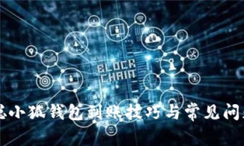 中本聪小狐钱包到账技巧与常见问题解析