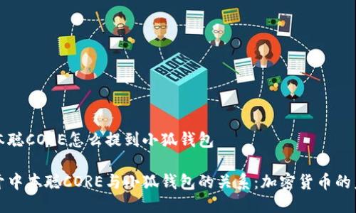 中本聪CORE怎么提到小狐钱包

揭开中本聪CORE与小狐钱包的关系：加密货币的未来