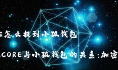 中本聪CORE怎么提到小狐钱包揭开中本聪CORE与小狐