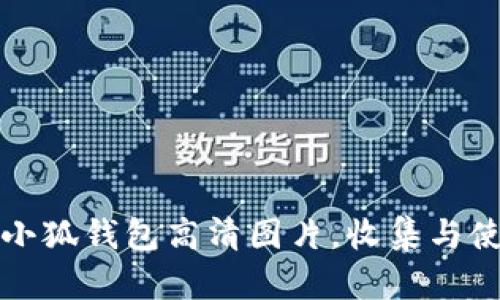 迪士尼小狐钱包高清图片，收集与使用指南