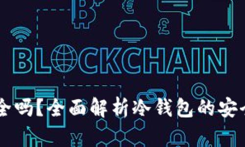 币放冷钱包安全吗？全面解析冷钱包的安全性与使用技巧