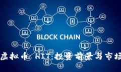 深入了解虚拟币 HIT：投资前景与市场动态解析