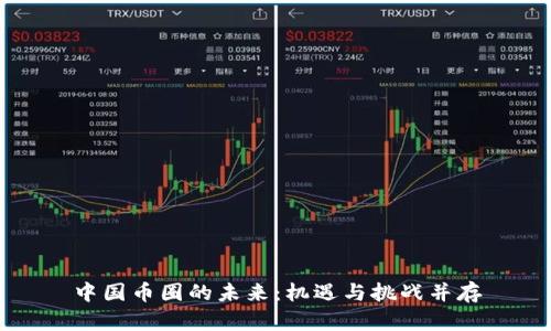 中国币圈的未来：机遇与挑战并存