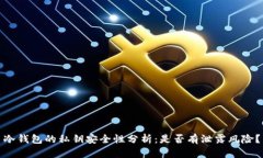 冷钱包的私钥安全性分析：是否有泄露风险？