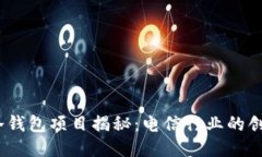 DSIM冷钱包项目揭秘：电信行业的创新探索