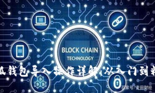 小狐钱包导入操作详解：从入门到精通