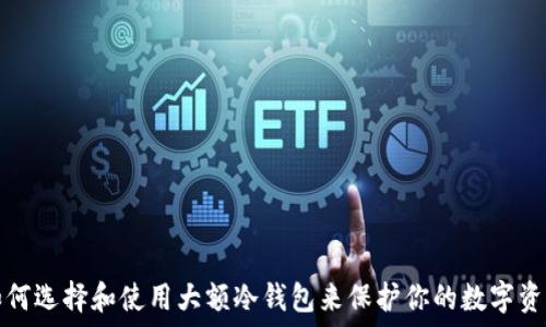   
如何选择和使用大额冷钱包来保护你的数字资产