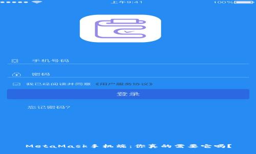 MetaMask手机端：你真的需要它吗？