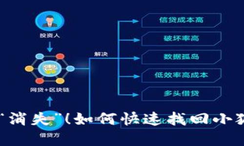 别让你的USDT“消失”！如何快速找回小狐钱包里的资金